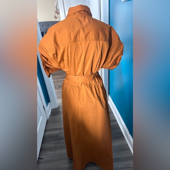 ZARA TOFFEE BROWN POPLIN COTTON BELTED MIDI MAXI SHIRT DRESS TORTOISE SHELL - Picture 3 of 9